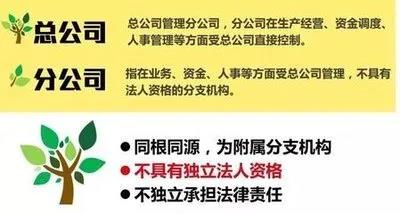 注冊子公司好還是分公司好，子公司和分公司有什么區別？